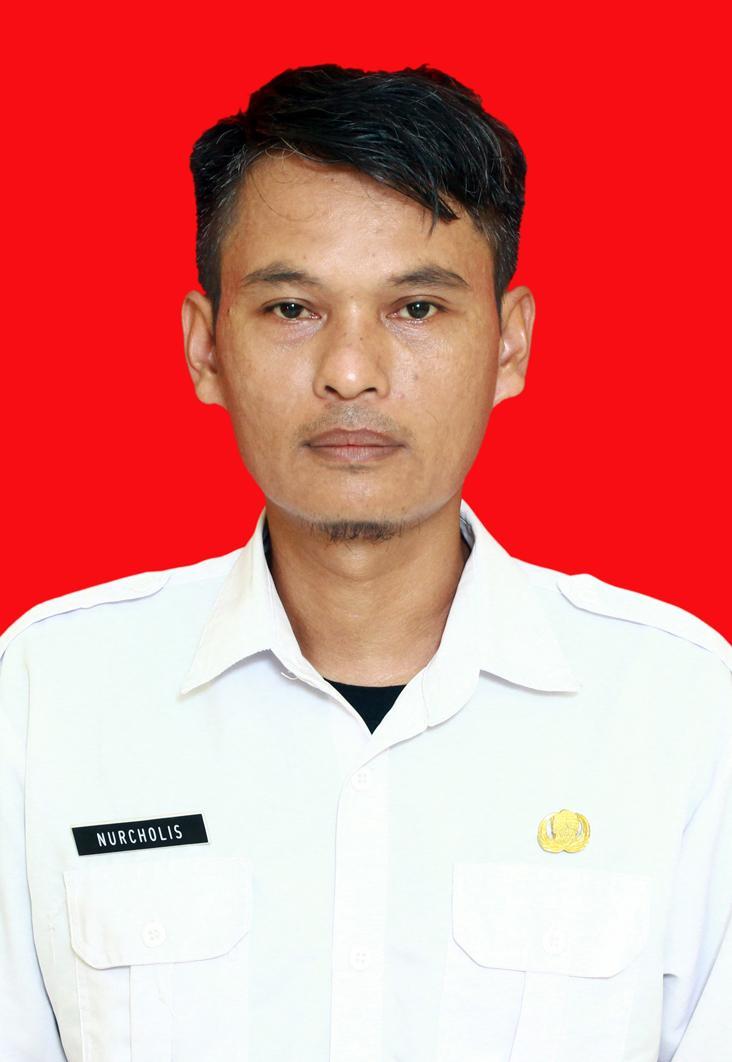 Nurcholis, S.Pd